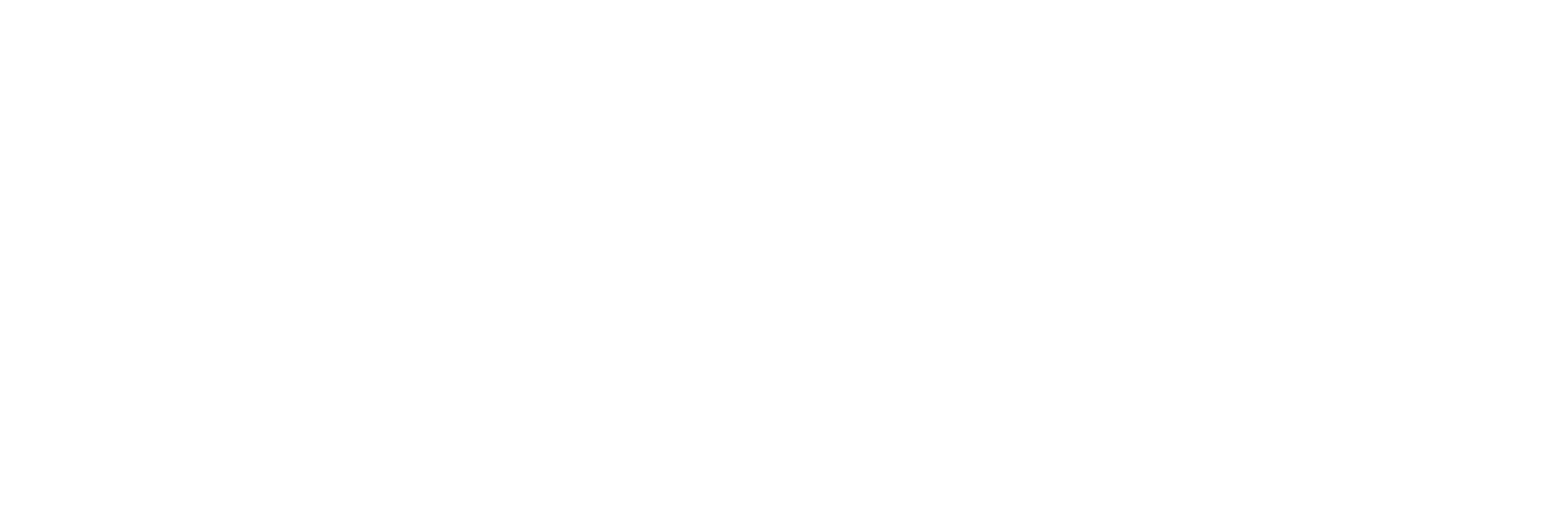 American Cargo Group LOGO