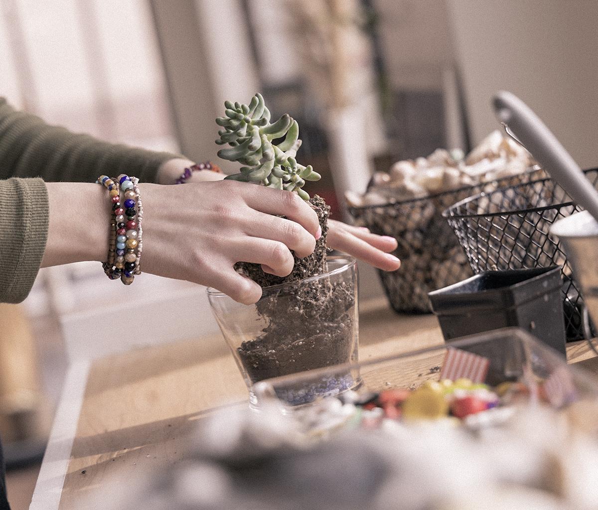 planting a succulent in a build-your-own terrarium at 42N Naturals
