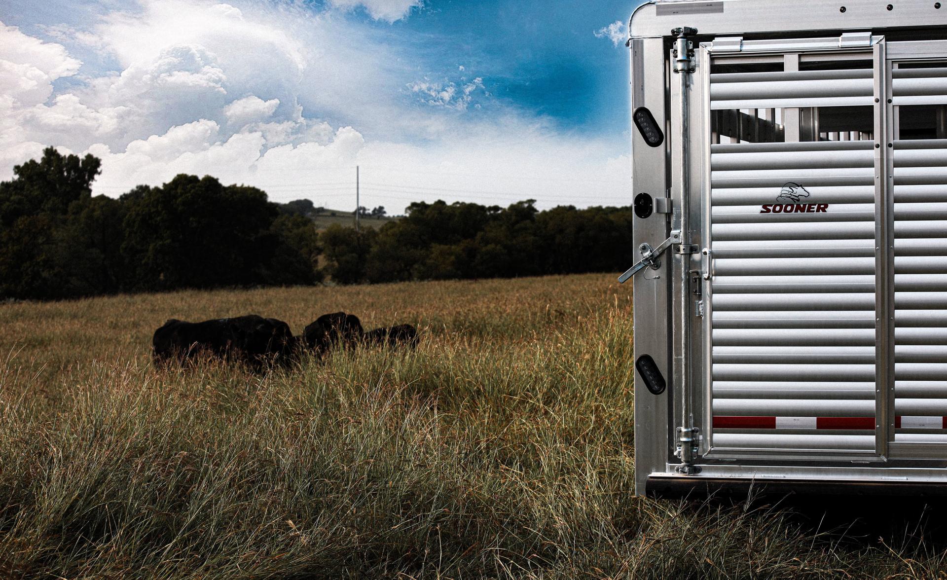 the rear of a Sooner Trailer with distant cattle in an open field