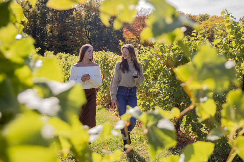 Makers Trail Photo, Friends walking through vineyard